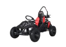 10 Best Gasoline Powered Ride On Toys